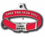 Take the Lead 1 miler