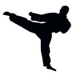 Mennilli Martial Arts 5k Run & 1 mile Fun Walk