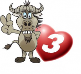 Run Like a Wildebeest - Greg Flint's Run