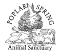 Poplar Spring Animal Sanctuary 11th Annual Run for the Animals!