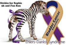 2014 Strides for Sophie