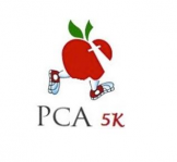 PCA 5K