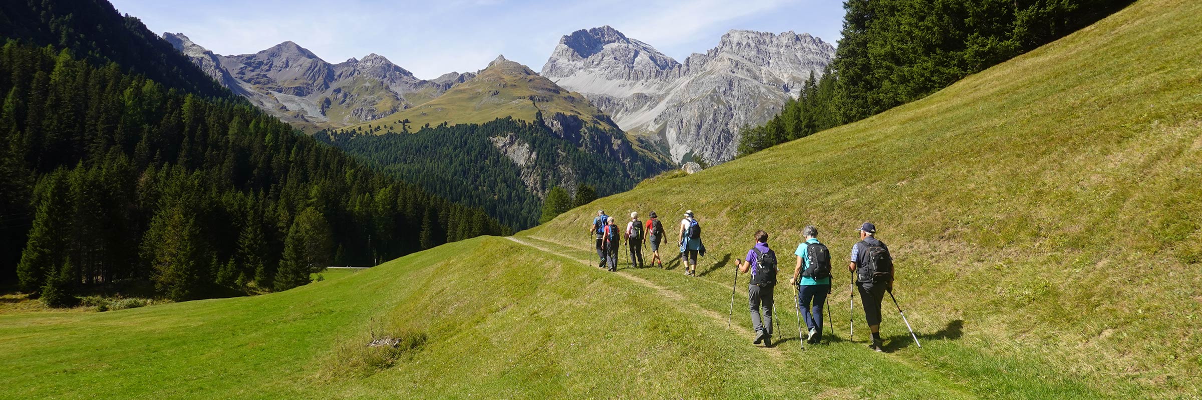 Card background image