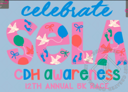 View a larger image of Adult Short Sleeve T-shirt (2XL)