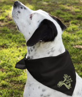 View a larger image of 5th Anniversary bandana