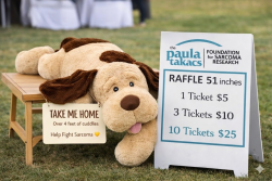 View a larger image of 10 Raffle Tickets