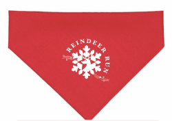 View a larger image of Red Bandana