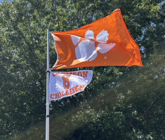 View a larger image of White Clemson 8 Flag