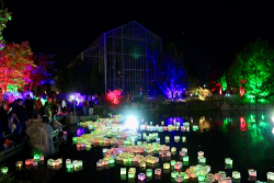 View a larger image of Lantern (2025)