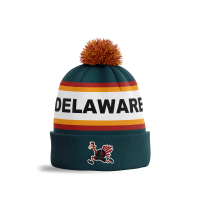 View a larger image of DTT Pom Beanie