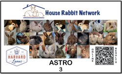 View a larger image of DONATE $10 FOR A CUSTOM BIB