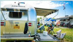 View a larger image of Friday Night Camping