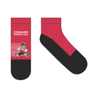 View a larger image of 2025 Race Socks