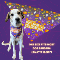 View a larger image of One Size Fits Most Dog Bandana