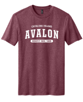 View a larger image of Avalon 50/50 Collegiate Tee - CARDINAL