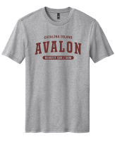View a larger image of Avalon 50/50 Collegiate Tee - GRAY