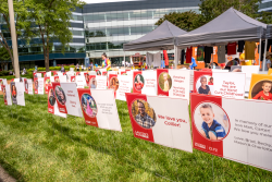 View a larger image of Tribute Signs 