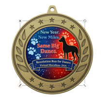 View a larger image of Resolution Run for Danes Medal