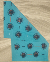 View a larger image of 2026 Blackbeard's Revenge Buff (Teal)
