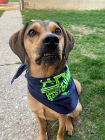 View a larger image of Custom Crocker Bark Bandana