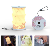 View a larger image of Portable Dimmable Lantern (Pickup Option)