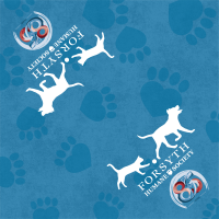 View a larger image of FHS Pet Bandana