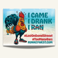 View a larger image of I Came. I Drank. Magnet