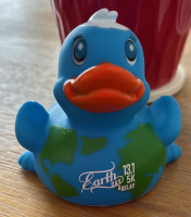 View a larger image of Earth Day Award ducks
