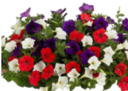 View a larger image of 13” Ball Game 26 Combo 