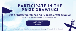 View a larger image of Prize Drawing Tickets