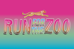 View a larger image of Cooling Towel