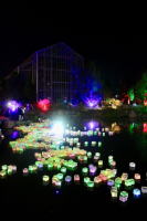 View a larger image of Lantern (2026)