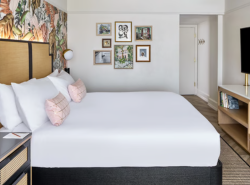 View a larger image of La Concha Hotel - Standard King Package