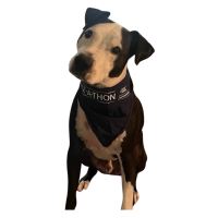 View a larger image of Bike-A-Thon Dog Bandanas