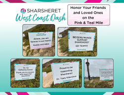 View a larger image of Pink and Teal Mile Sign