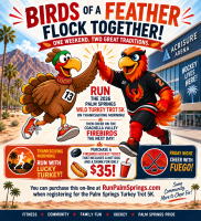 View a larger image of Firebirds Hockey Ticket
