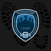 View a larger image of 2025 ODMP Patch