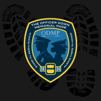 View a larger image of 2024 ODMP Patch