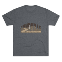 View a larger image of Arch Logo Tee - Premium Heather