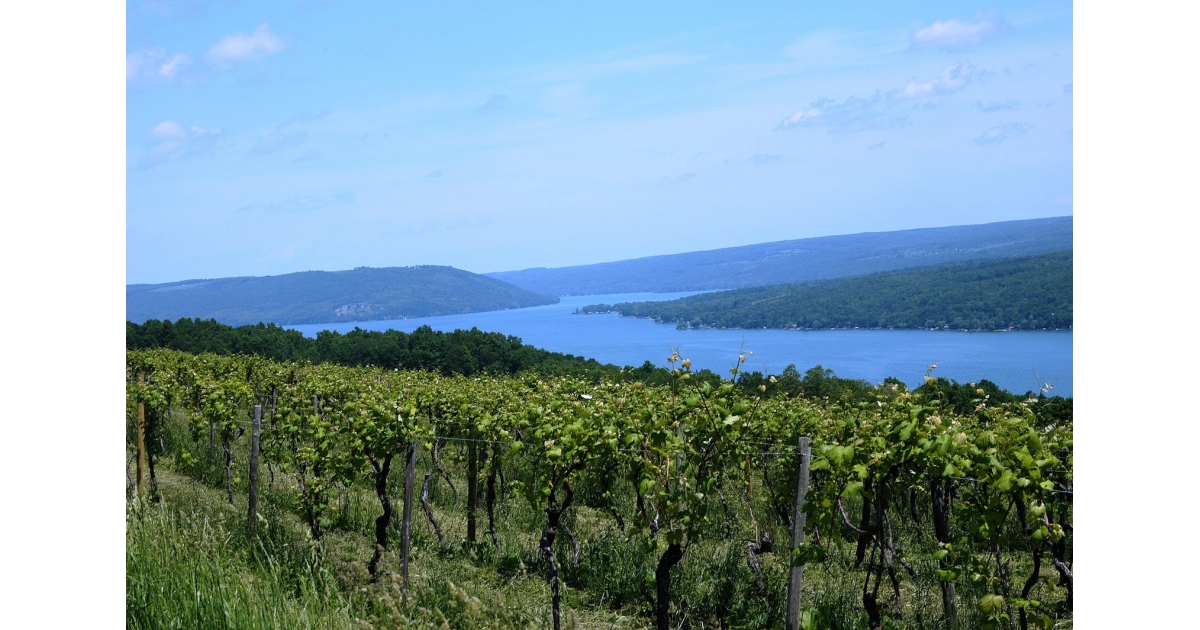 Kiwanis' 415 Mile Finger Lakes Virtual Challenge