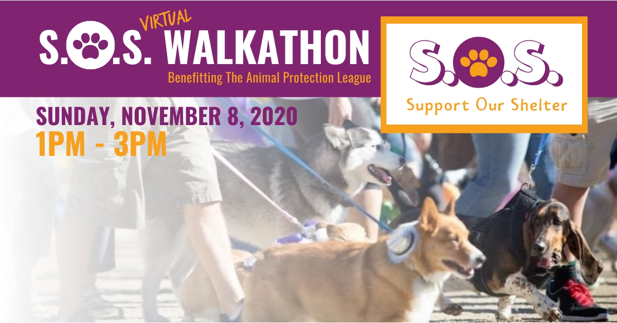Save Our Shelter Walkathon