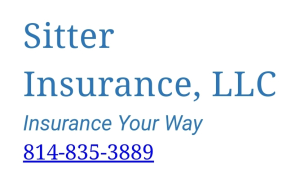 Sponsor Logo for Sitter Insurance