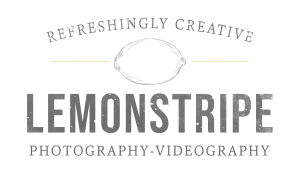 Sponsor Logo for Lemon Stripe