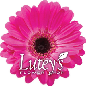 Sponsor Logo for Lutey's Flower Shop