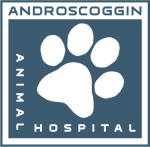 Sponsor Logo for Androscoggin Animal Hospital