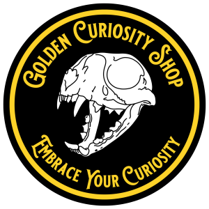 Sponsor Logo for Golden Curiosity Shop