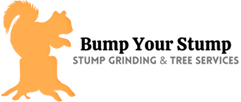 Sponsor Logo for Bump Your Stump
