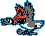 Sponsor Logo for Beloit Sky Carp