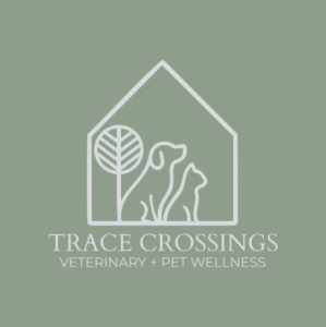 Sponsor Logo for Carlo Joseph