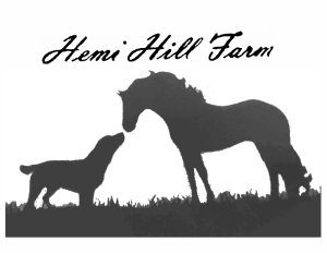 Sponsor Logo for Hemi Hill Farm